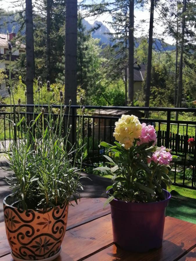 Dom Pod Skocznia Apartment Zakopane Exterior photo