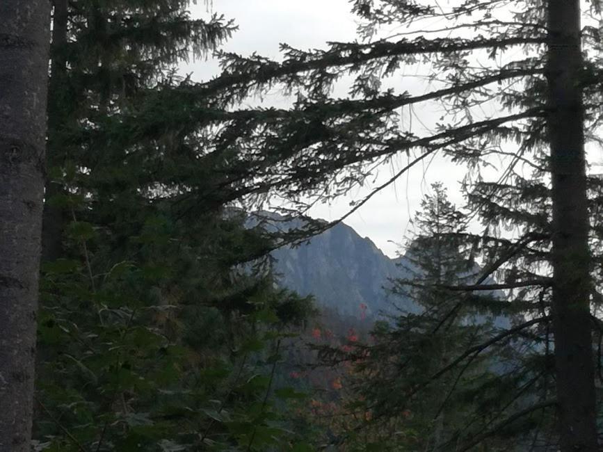 Dom Pod Skocznia Apartment Zakopane Exterior photo