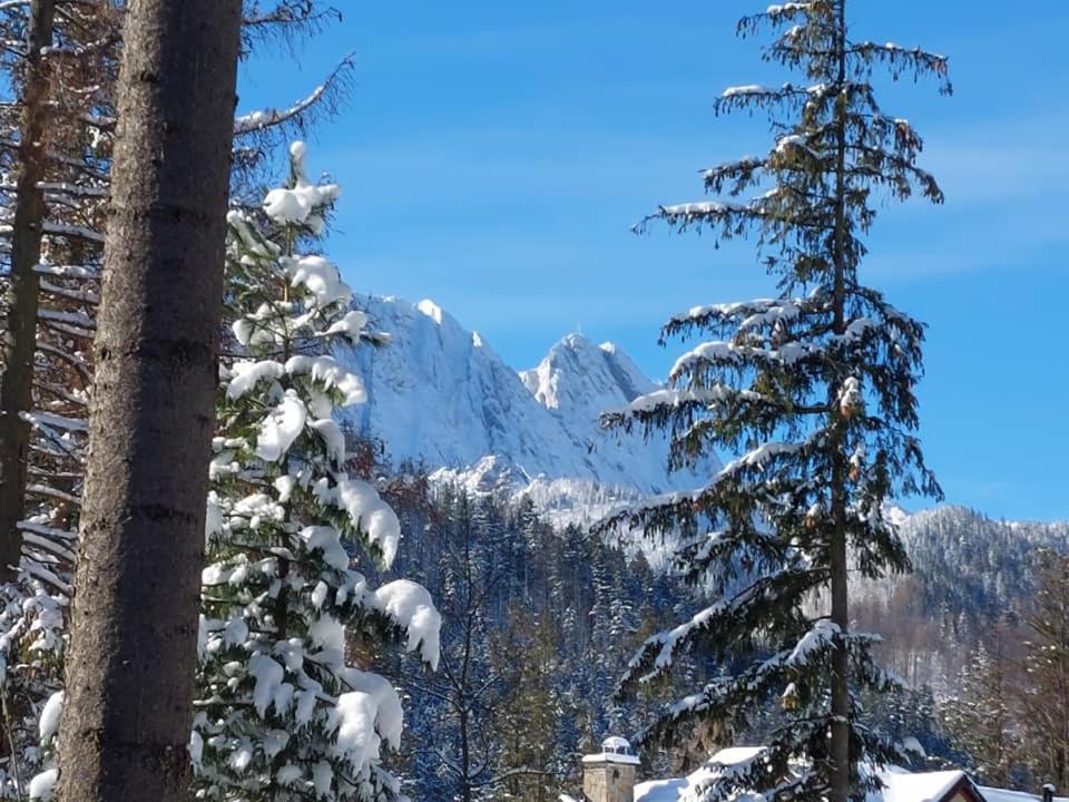 Dom Pod Skocznia Apartment Zakopane Exterior photo