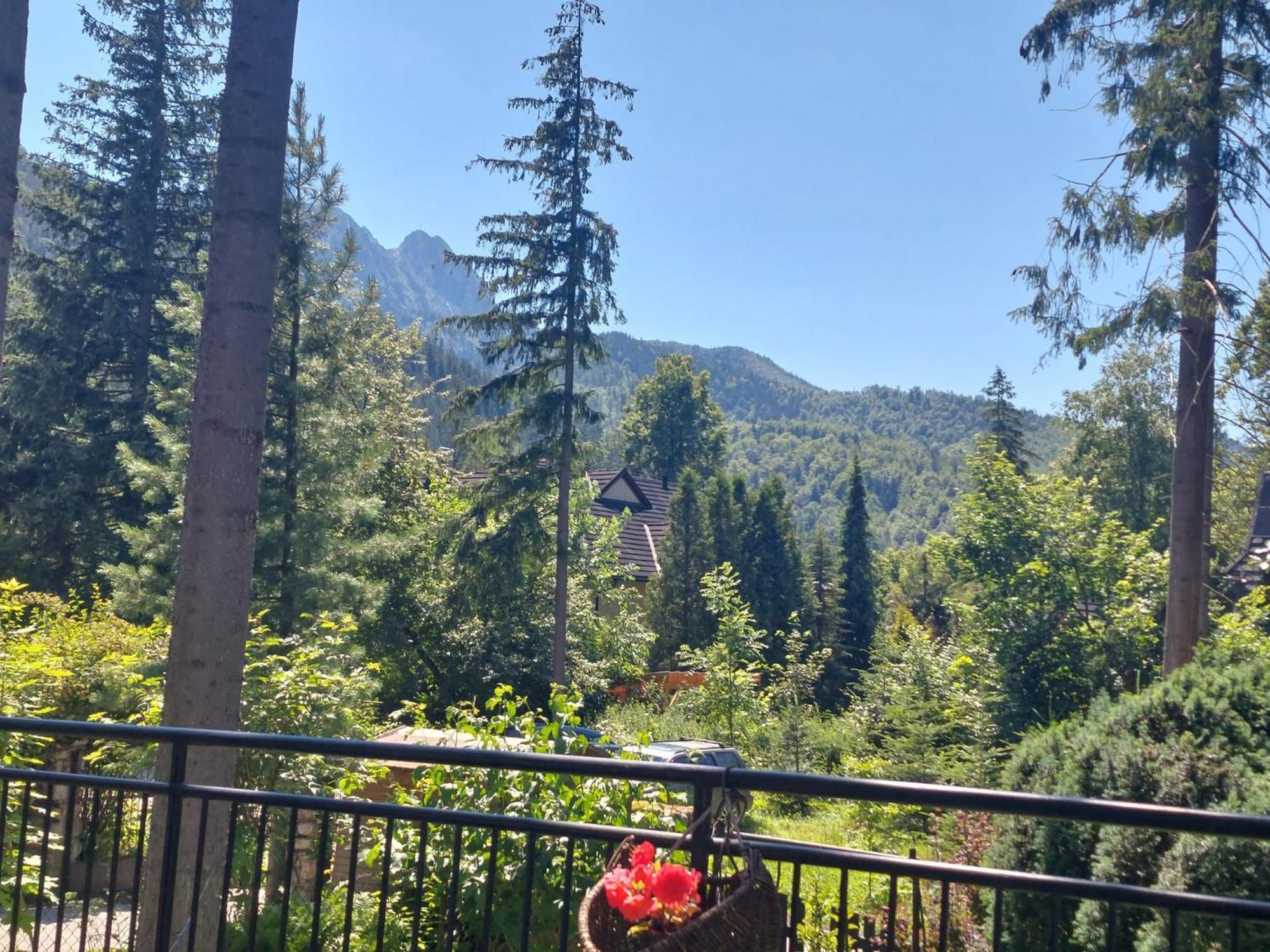 Dom Pod Skocznia Apartment Zakopane Exterior photo