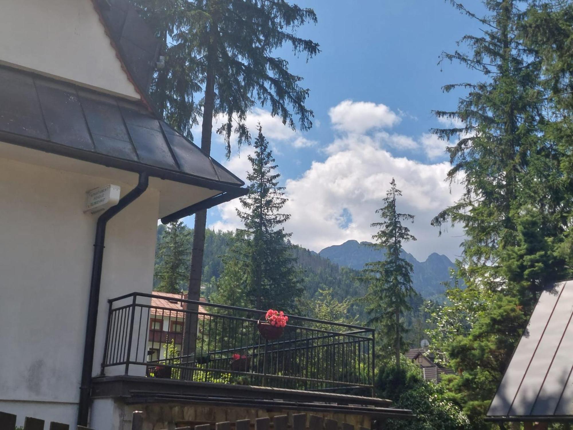 Dom Pod Skocznia Apartment Zakopane Exterior photo