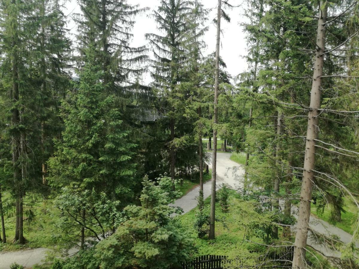 Dom Pod Skocznia Apartment Zakopane Exterior photo